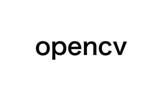 OpenCV入門｜初心者向けに基本から実践テクニックまで解説